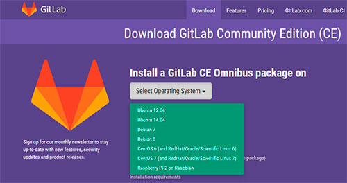 GitLab S.O. Opciones Instalación